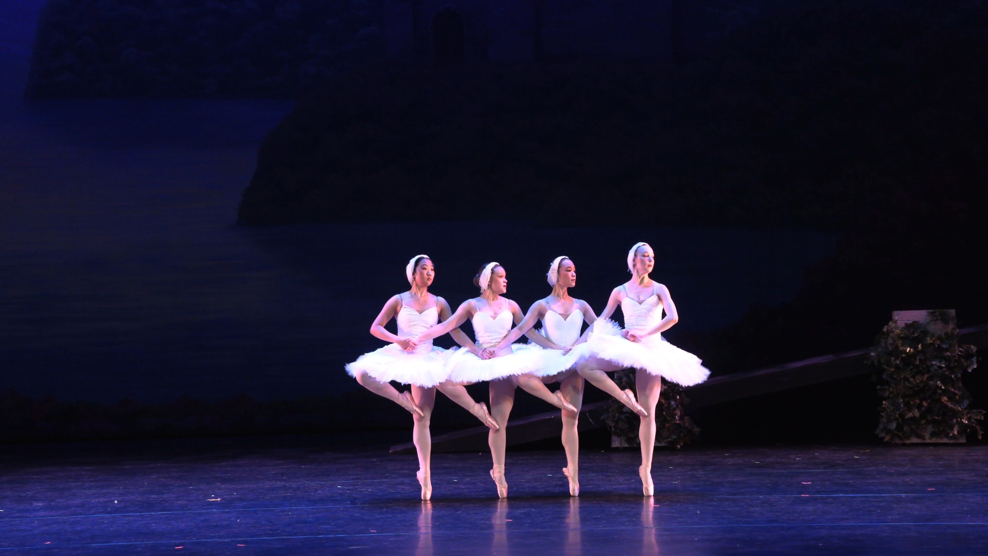 Four Little Swans